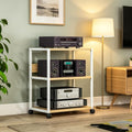 Mobile Wooden Steel Audio Rack